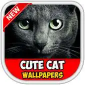Free play online Funny Cat Wallpapers HD APK