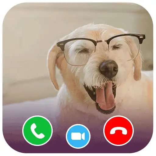 Play Funny cute dog Prank Call APK
