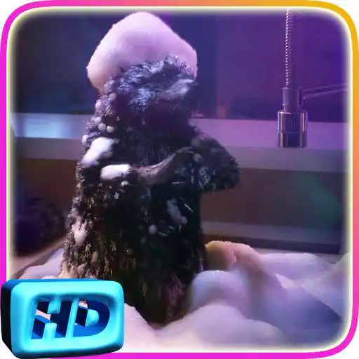 Play Funny Dance Live Wallpaper APK