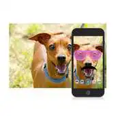 Free play online FUNNY DOG MASKS APK