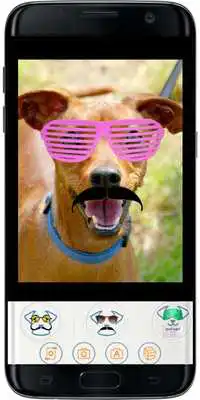 Play FUNNY DOG MASKS