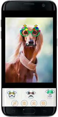 Play FUNNY DOG MASKS