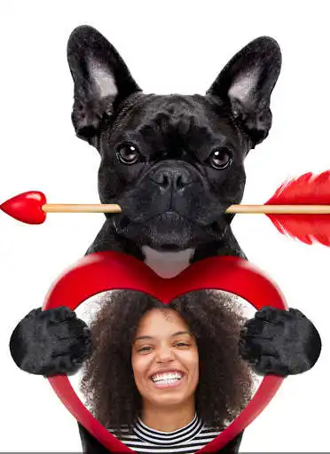 Play Funny Dog Photo Frames  and enjoy Funny Dog Photo Frames with UptoPlay