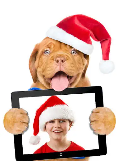 Play Funny Dog Photo Frames as an online game Funny Dog Photo Frames with UptoPlay