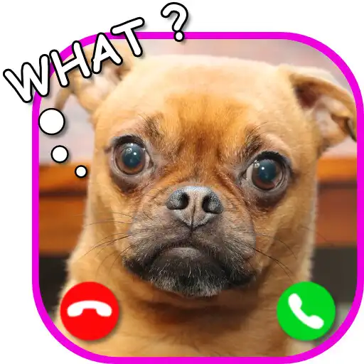 Play Funny Dog Prank Call APK