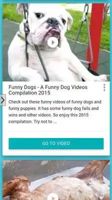 Play Funny Dogs HD
