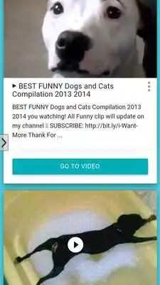 Play Funny Dogs HD