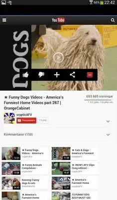 Play Funny Dogs on Video