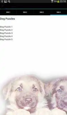 Play Funny Dogs on Video