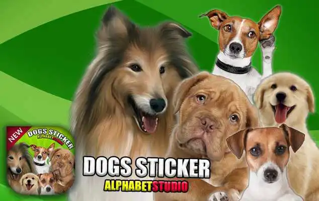 Play Funny Dogs Photo Sticker