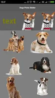 Play Funny Dogs Photo Sticker