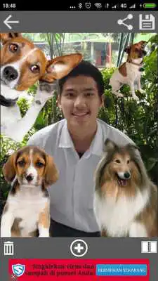 Play Funny Dogs Photo Sticker