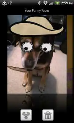 Play Funny Face Slider 2