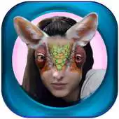 Free play online Funny Faces Photo Montage APK