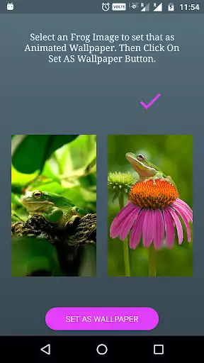 Play Funny Frog Live Wallpaper  and enjoy Funny Frog Live Wallpaper with UptoPlay