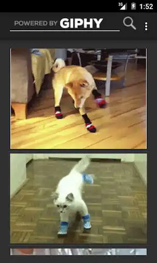 Play Funny GIFs