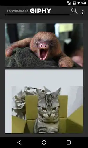 Play Funny GIFs