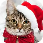 Free play online Funny Holidays 3D Locker Theme APK