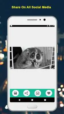 Play Funny Humor Gif Collections HD