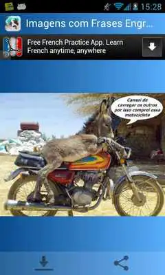 Play Funny Images in Portuguese