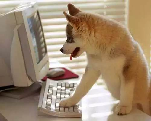 Play Funny Job Wallpaper