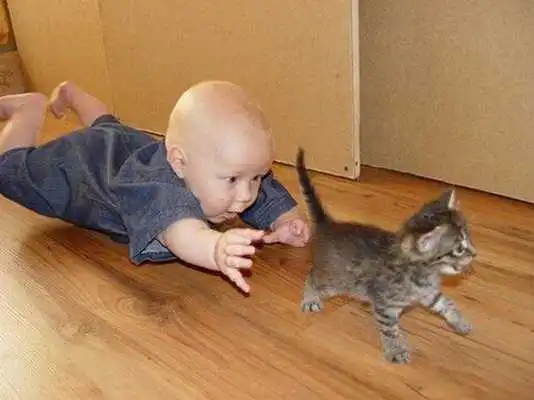 Play Funny Kid Animals