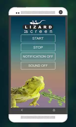 Play Funny Lizard On Phone Screen: Cute Joke