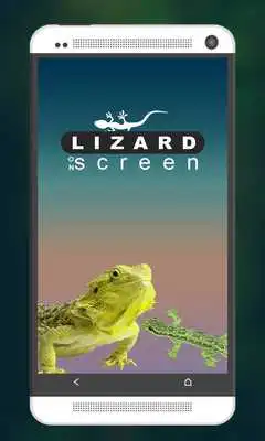 Play Funny Lizard On Phone Screen: Cute Joke