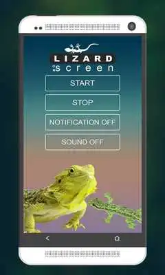 Play Funny Lizard On Phone Screen: Cute Joke