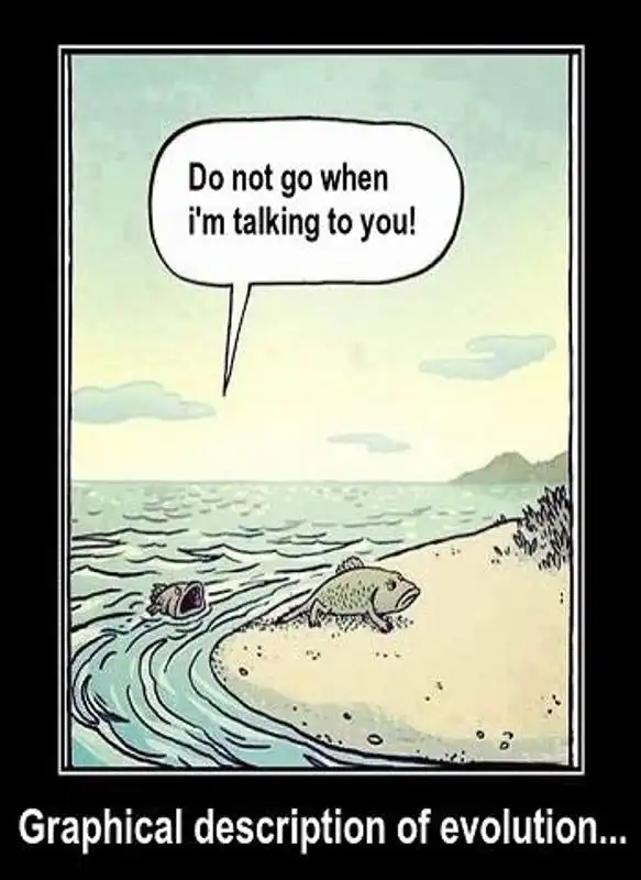 Play Funny LOL Pictures