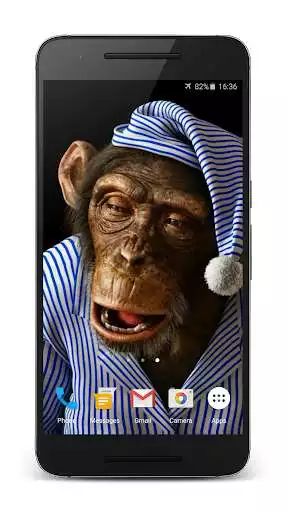 Play Funny Monkey 3D Live Wallpaper and enjoy Funny Monkey 3D Live Wallpaper with UptoPlay Play Funny Monkey 3D Live Wallpaper and enjoy Funny Monkey 3D Live Wallpaper with UptoPlay