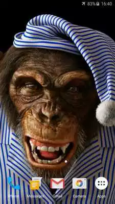 Play Funny Monkey 3D Live Wallpaper