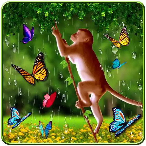 Free play online Funny Monkey Live Wallpaper APK Free play online Funny Monkey Live Wallpaper APK