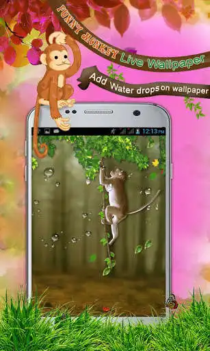 Play Funny Monkey Live Wallpaper