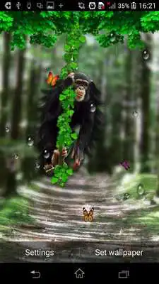Play Funny Monkey Live Wallpaper