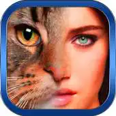 Free play online Funny Morphing Animal Face APK