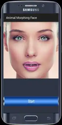 Play Funny Morphing Animal Face Play Funny Morphing Animal Face