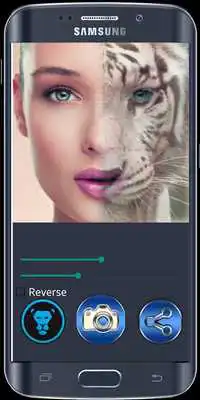 Play Funny Morphing Animal Face Play Funny Morphing Animal Face