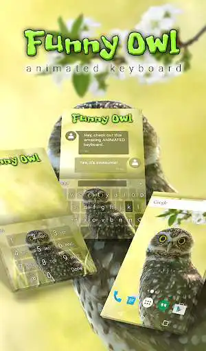 Play Funny Owl Animated Keyboard + Live Wallpaper  and enjoy Funny Owl Animated Keyboard + Live Wallpaper with UptoPlay