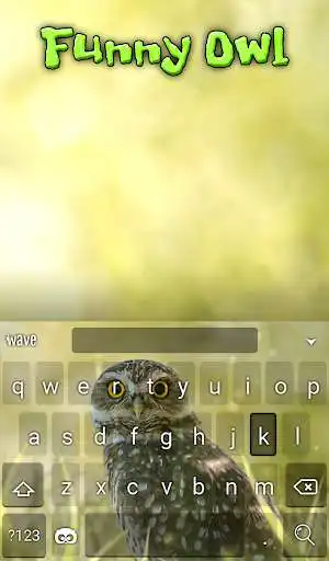 Play Funny Owl Animated Keyboard + Live Wallpaper as an online game Funny Owl Animated Keyboard + Live Wallpaper with UptoPlay