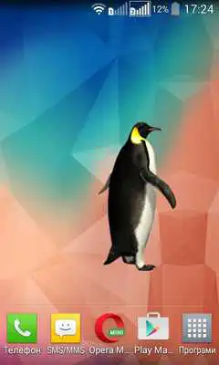 Play Funny Penguin Widget/Stickers