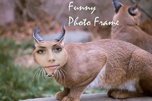 Play Funny Photo Frame
