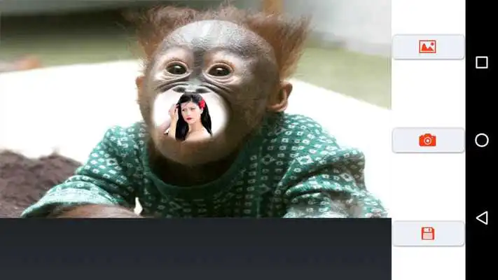 Play Funny Photo Frame