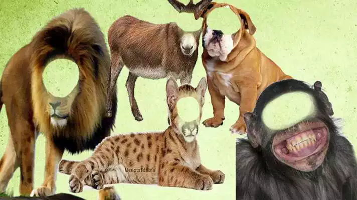 Play Funny Photo Montage