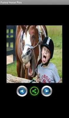 Play Funny pics horses