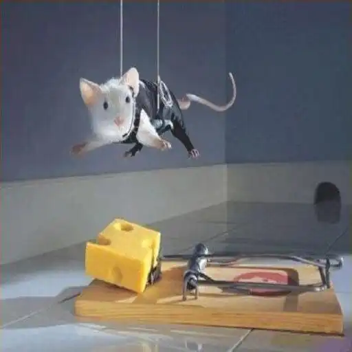 Play Funny pictures 54 APK Play Funny pictures 54 APK
