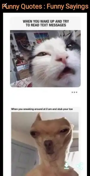 Play Funny Quotes : Funny Sayings and enjoy Funny Quotes : Funny Sayings with UptoPlay Play Funny Quotes : Funny Sayings and enjoy Funny Quotes : Funny Sayings with UptoPlay