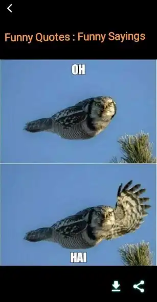 Play Funny Quotes : Funny Sayings as an online game online Funny Quotes : Funny Sayings with UptoPlay Play Funny Quotes : Funny Sayings as an online game Funny Quotes : Funny Sayings with UptoPlay