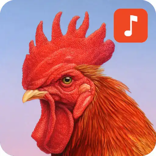 Play Funny Rooster Sound & Ringtones APK