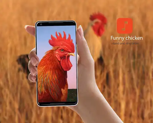 Play Funny Rooster Sound & Ringtones  and enjoy Funny Rooster Sound & Ringtones with UptoPlay